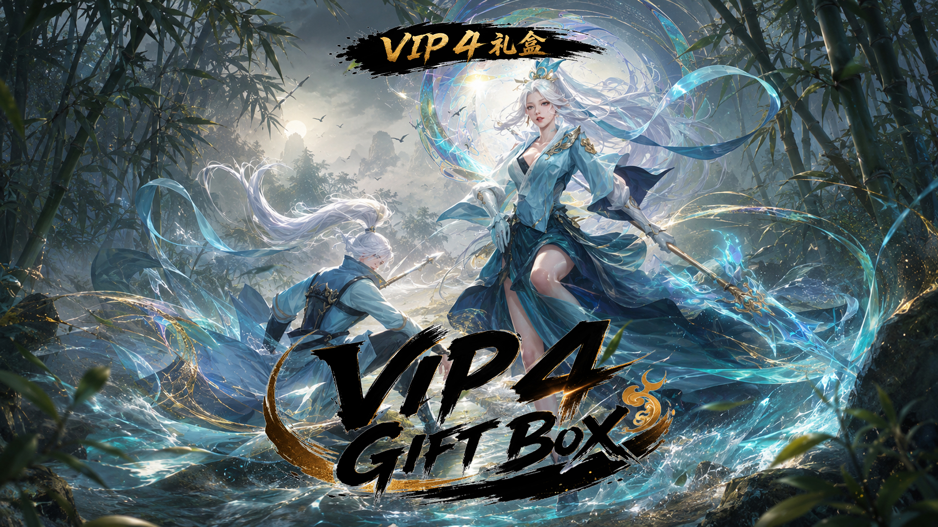 活动新品 VIP 4 礼盒